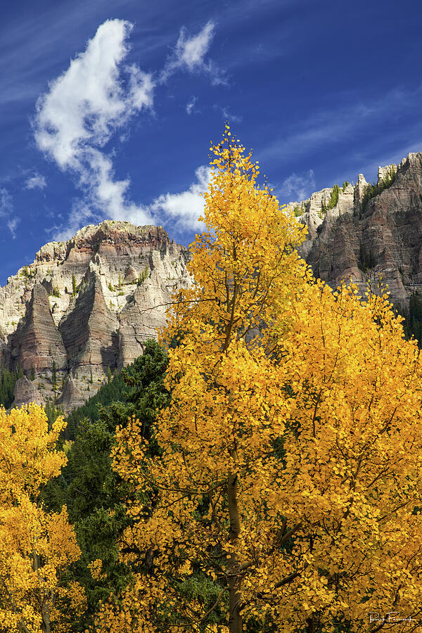 Colorful Colorado Photograph by Rick Furmanek
