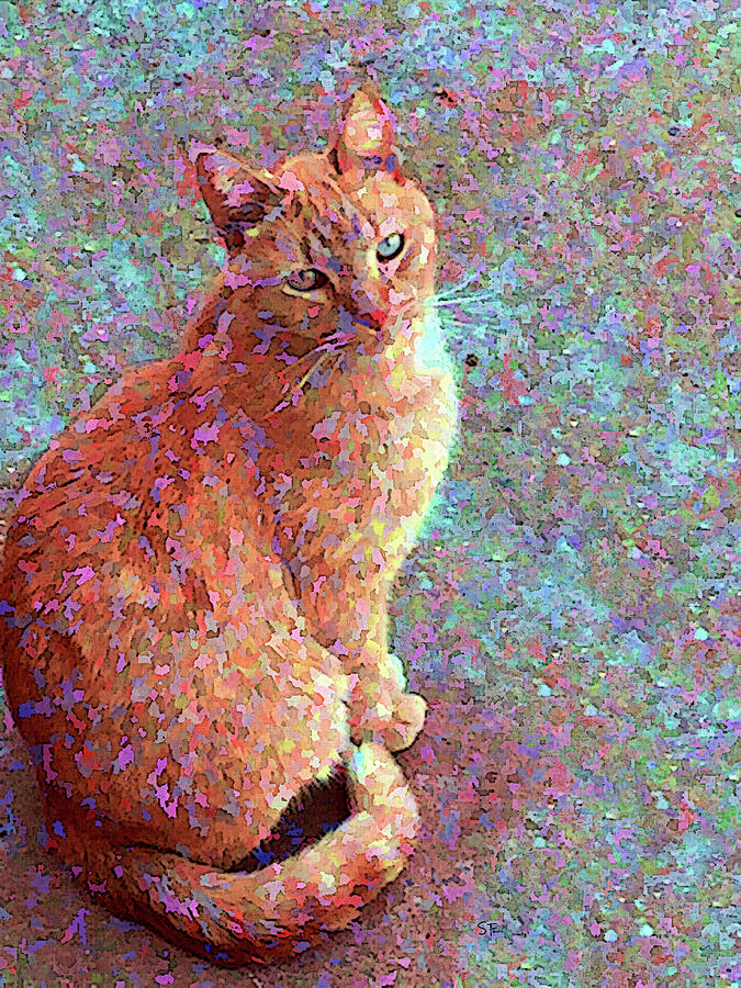 Colorful Confetti Spotted Cat  Digital Art by Shelli Fitzpatrick