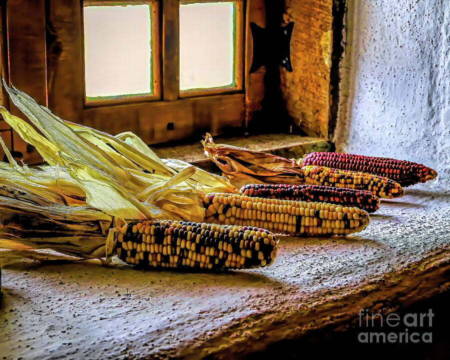 Colorful Corn Photograph by Jon Burch Photography
