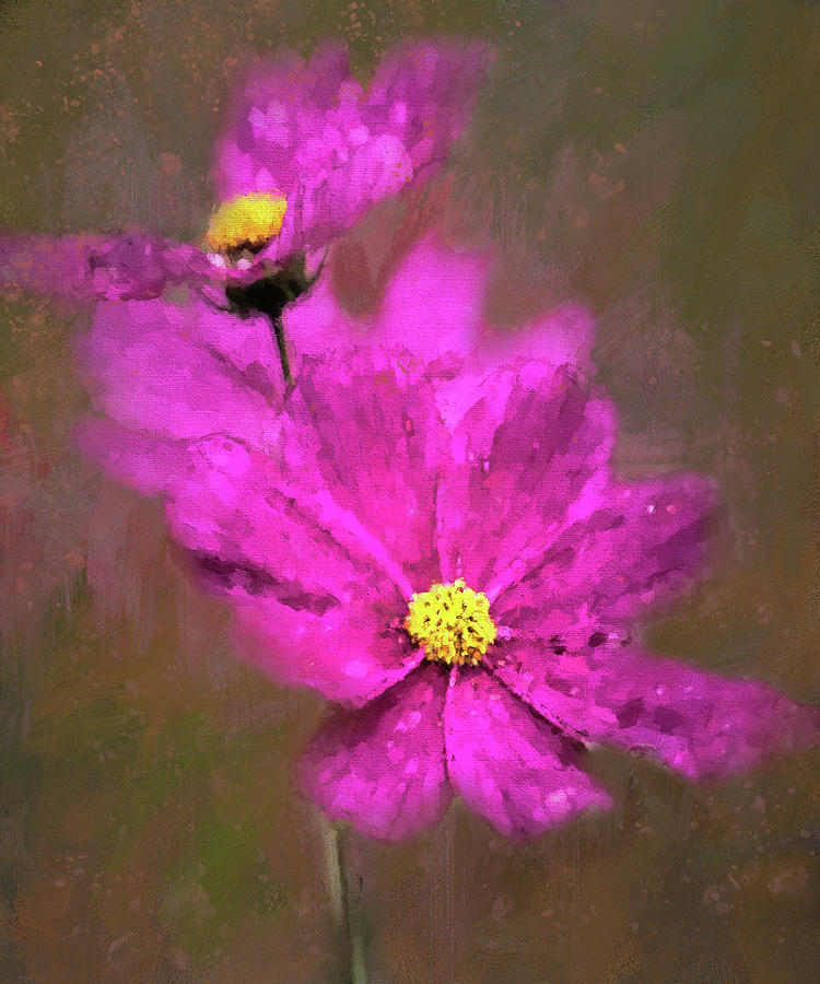 Colorful Cosmos Photograph by HH Photography of Florida