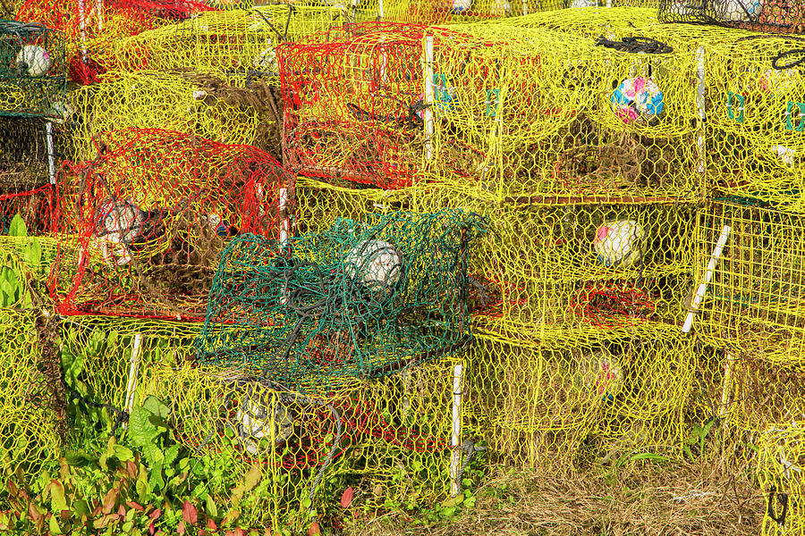 Colorful Crab Pots Photograph by Jurgen Lorenzen