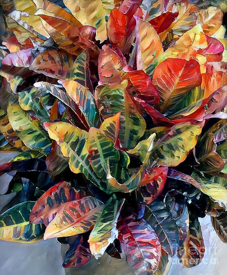 Colorful Croton Plant 2 Mixed Media by Sandi OReilly