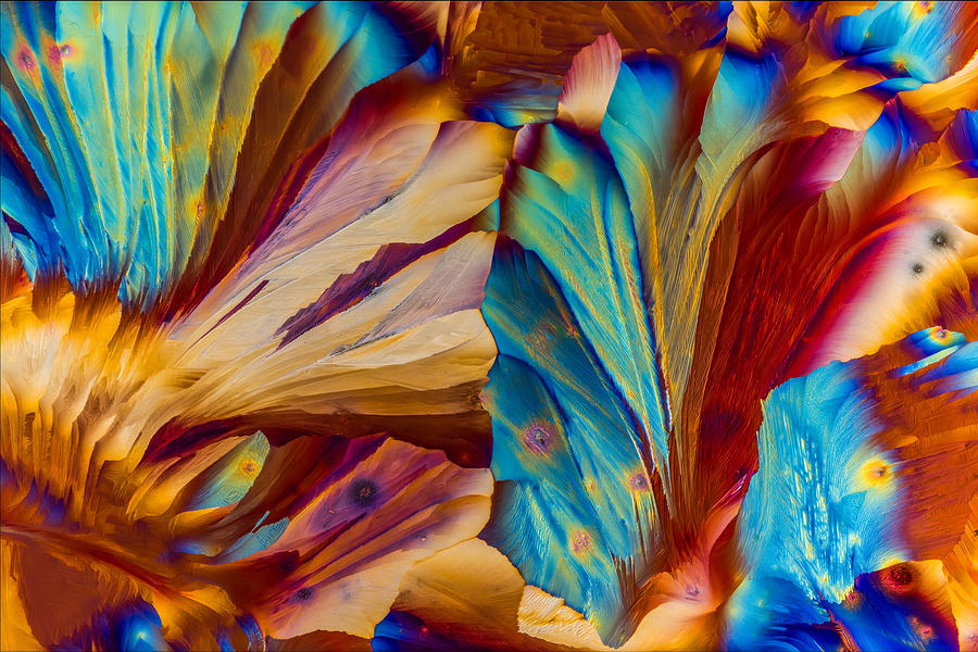 Colorful crystals I Photograph by Jaroslaw Blaminsky