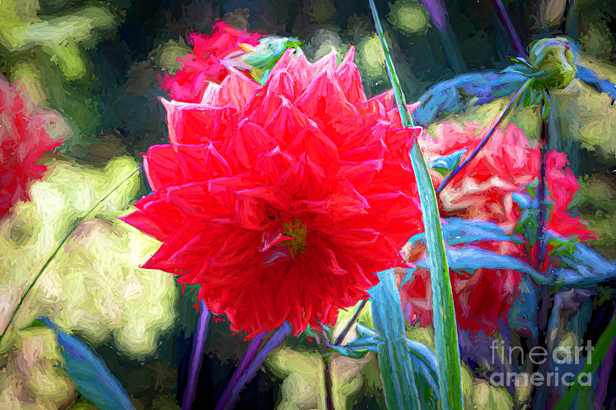 Colorful Dahlia Digital Art