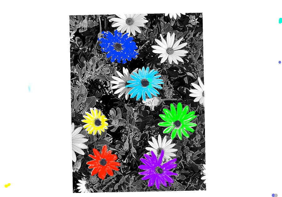 Colorful Daisies Digital Art by Kathleen Boyles