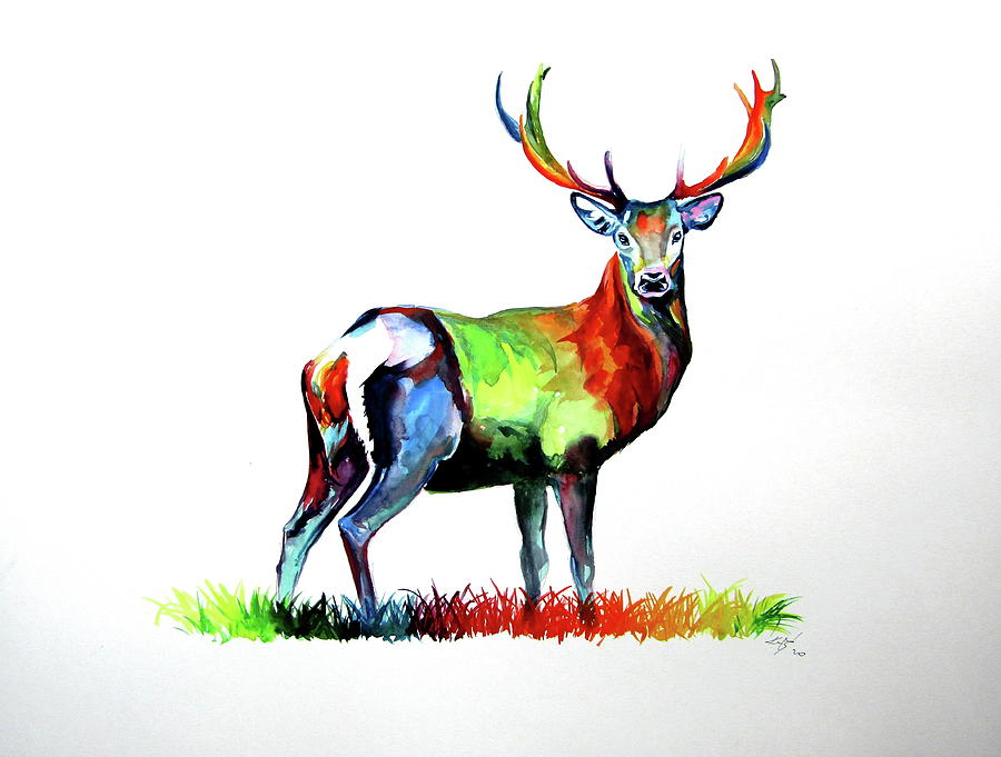 Colorful deer Painting by Kovacs Anna Brigitta