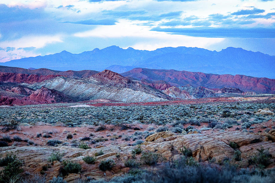 Colorful Desert Photograph by Courtney Eggers