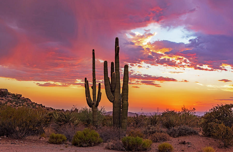 Colorful Desert Sunset Skies After Storm in Arizona Photograph by Ray ...