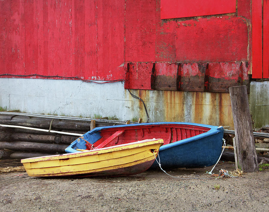 Primary Colors Photograph - Primary Colors-Colorful Dinghies at Low Tide by Betty Denise
