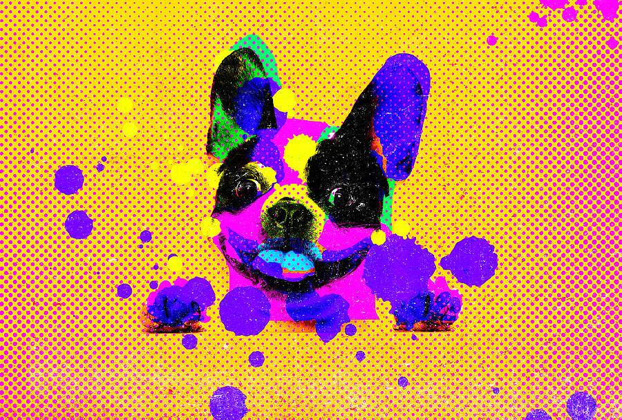 Colorful Dog Digital Art by Eena Bo