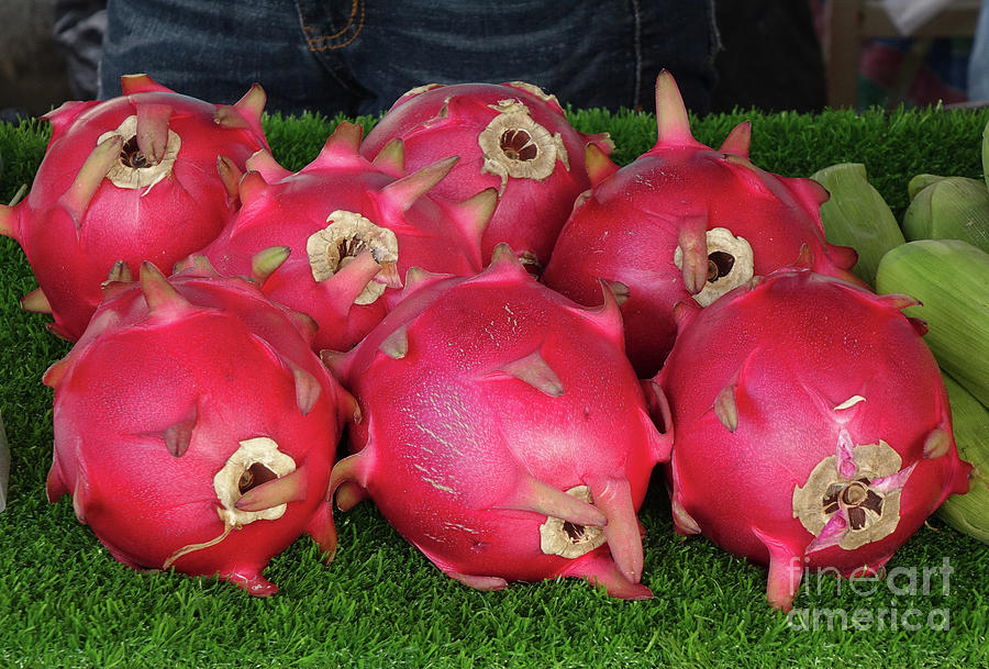 Colorful Dragon Fruits by Yali Shi Colorful Dragon Fruits by Yali Shi