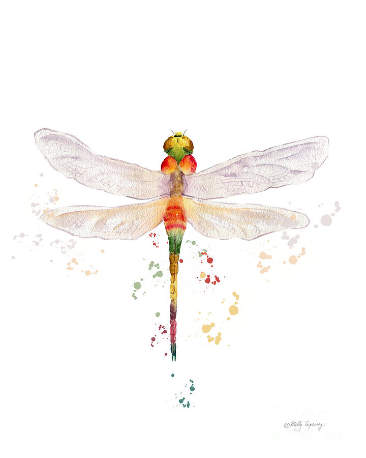 Colorful Dragonfly  Painting by Melly Terpening