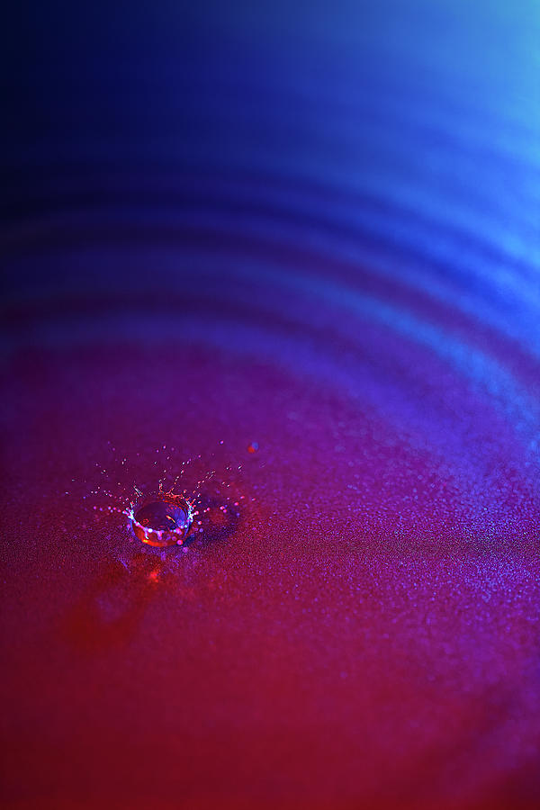Colorful Drop of Water Photograph by Jon Glaser