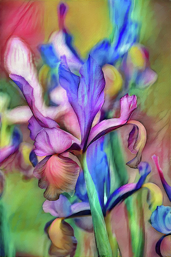 Colorful Dutch Iris Abstract Portrait Digital Art by Gaby Ethington