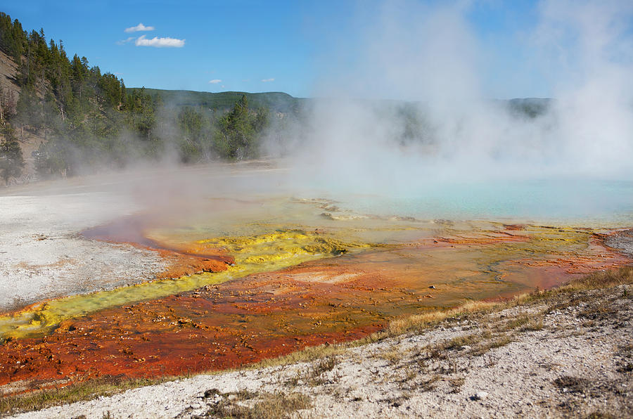 Colorful Earth at Yellowstone Photograph by Marilyn Hunt
