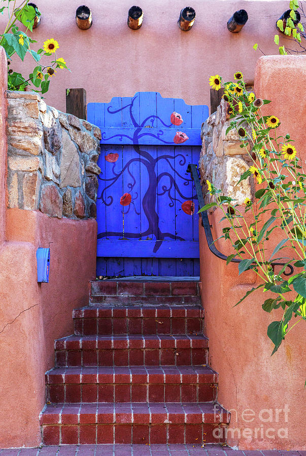 Colorful Entryway Photograph by Roselynne Broussard
