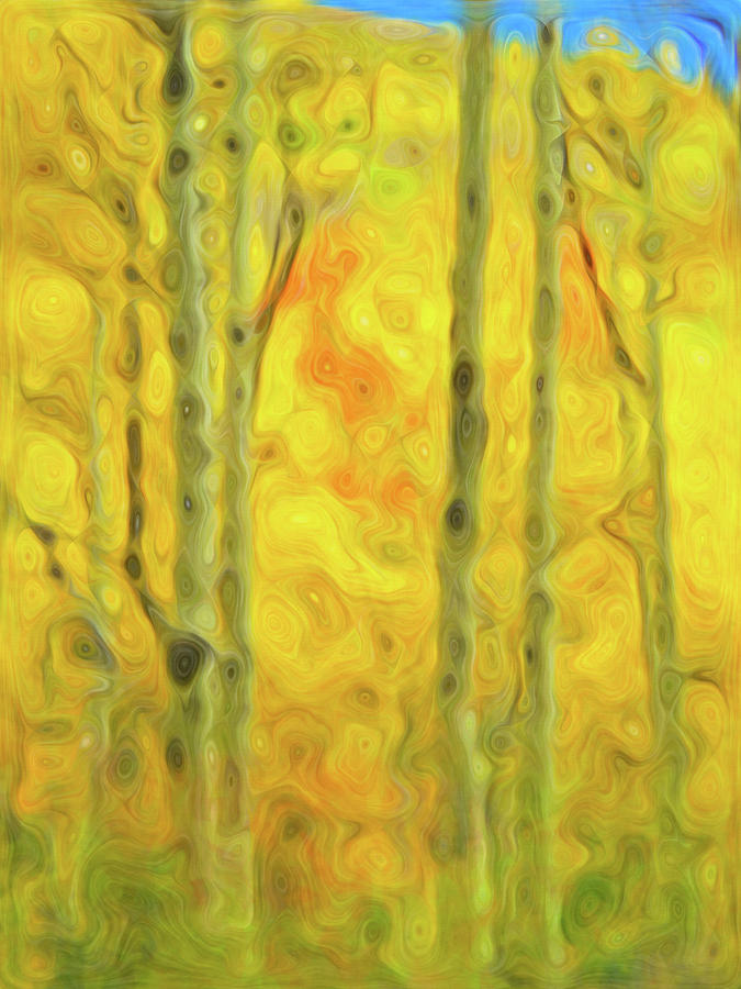 Colorful Fall Aspens in Santa Fe, NM by Barbara Rogers Colorful Fall Aspens in Santa Fe, NM by Barbara Rogers
