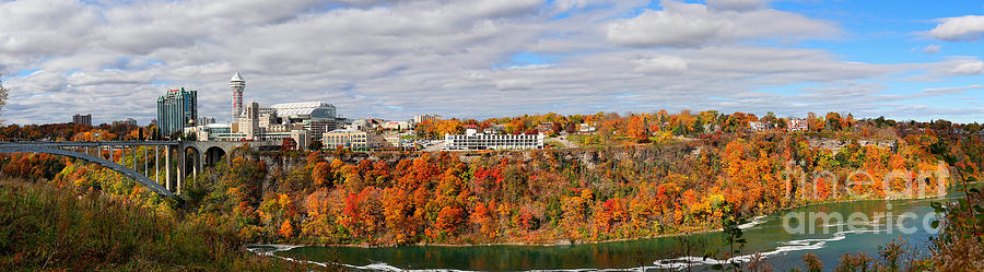 Colorful Fall Colors along the Lower Niagara Gorge Photograph by Tony Lee