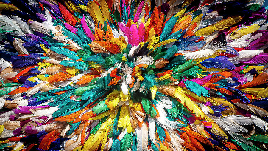 Colorful Feathers Photograph by David Morehead