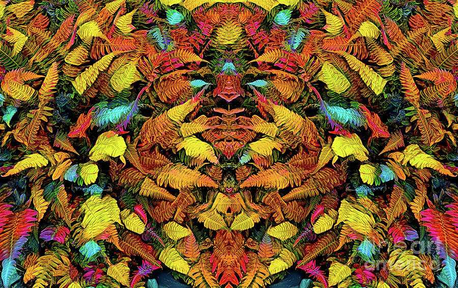 Colorful Fern Leaves in a Mirror Image Photograph by Roslyn Wilkins