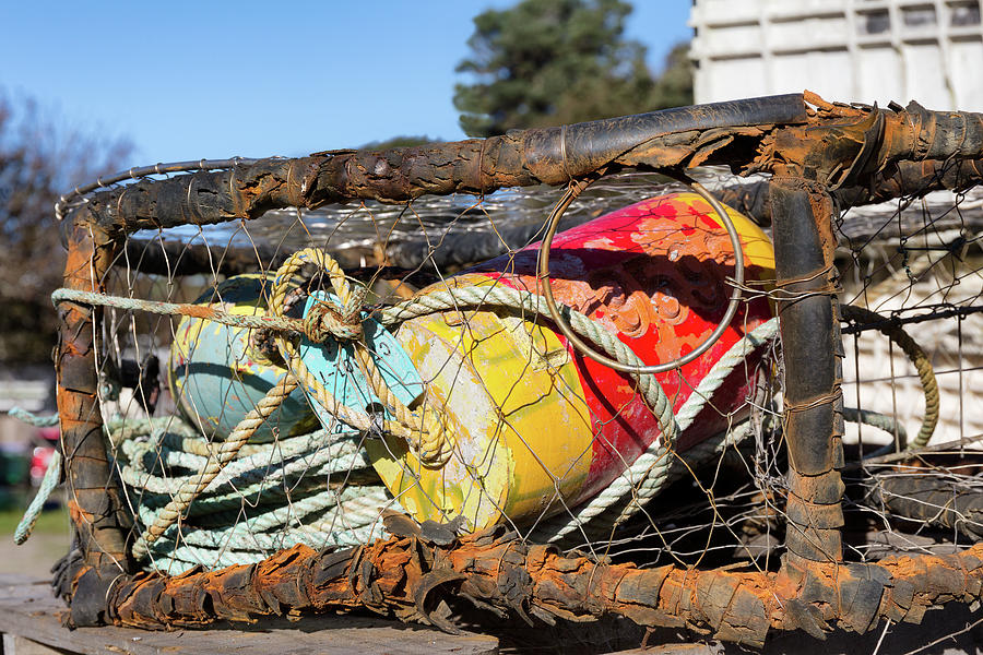 Colorful Floats in a Rusty Crab Trap  Photograph by Kathleen Bishop