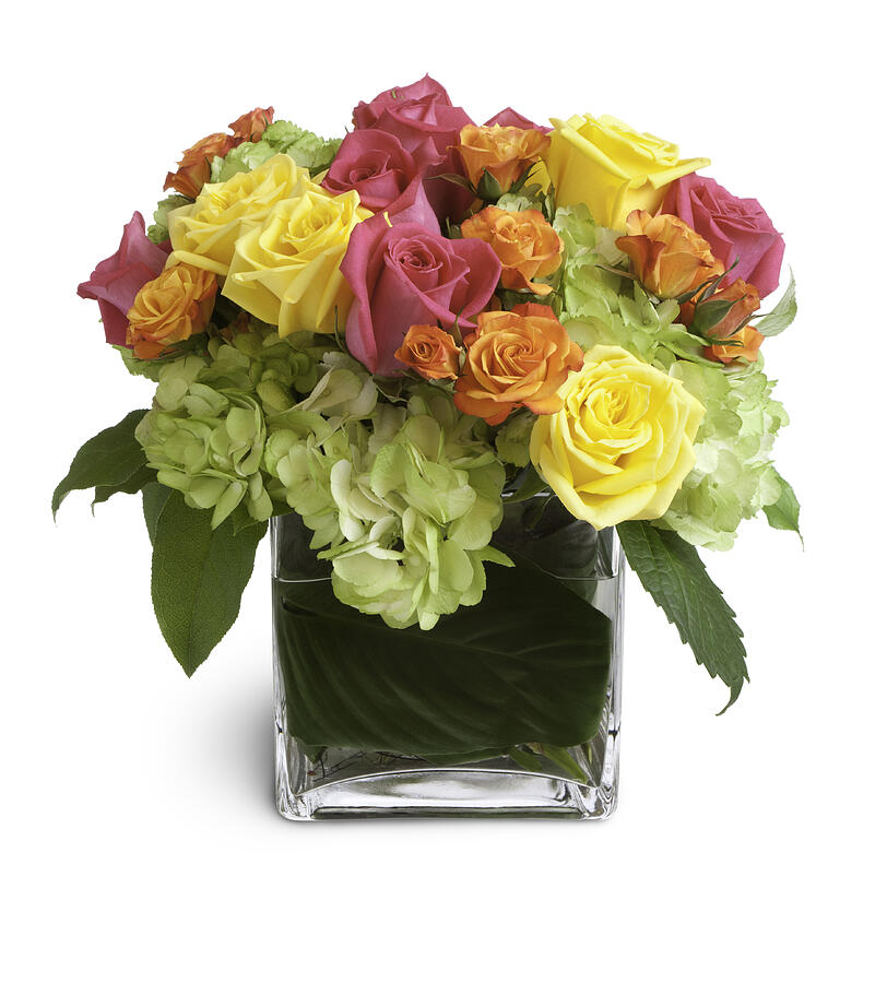 Colorful Floral Arrangement in  Square Glass Vase Isolated Photograph by Ryasick