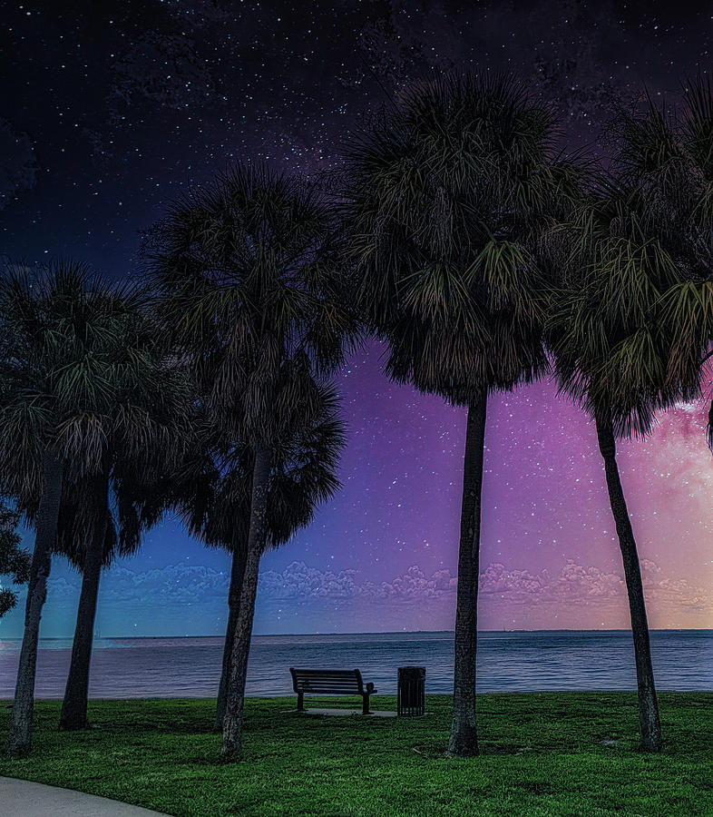 Colorful Florida Nights Photograph by Portia Olaughlin