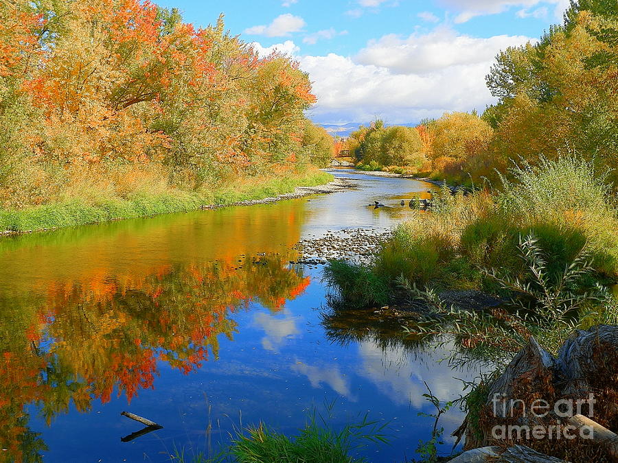 Colorful Flow Down The River Art Print Photograph by Art Sandi - Fine ...