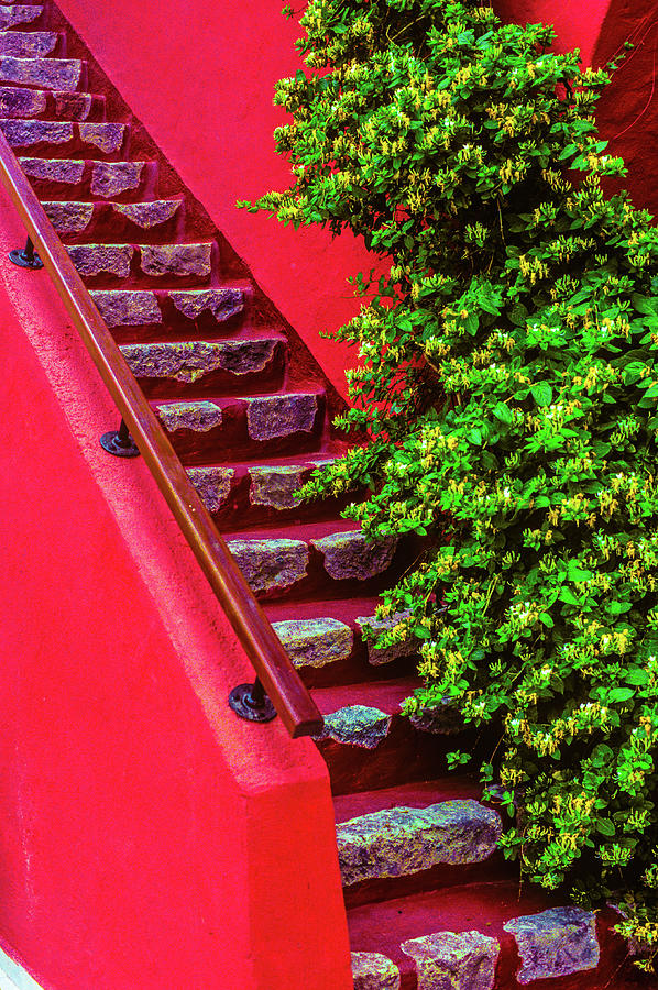 Colorful flowered stairs Photograph by Daniel Richards - Fine Art America