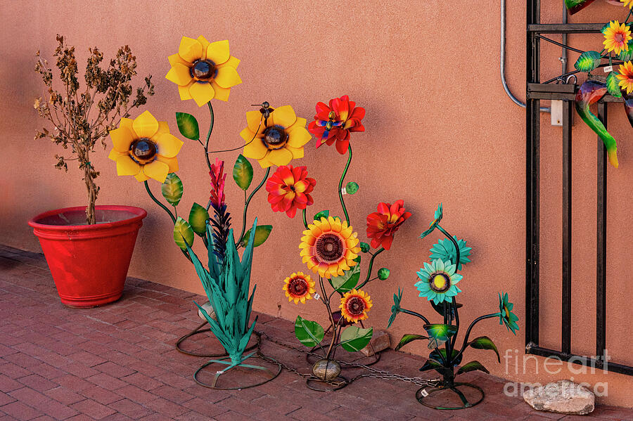 Colorful Flowers in Albuquerque Old Town Photograph by Bob Phillips