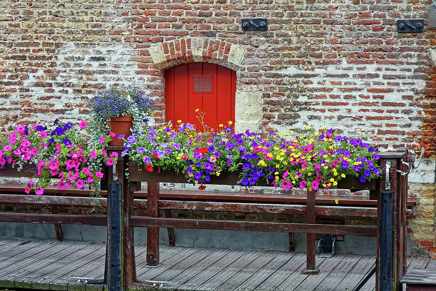Colorful Flowers on Dock Photograph by Sally Weigand