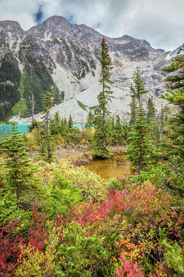 Colorful Foliage at Joffre Lakes Photograph by Pierre Leclerc Photography