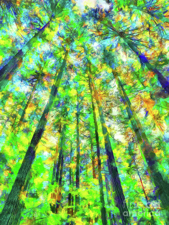 Colorful Forest #5 Digital Art by Susan Parish