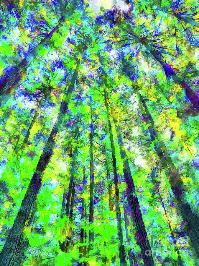 Colorful Forest #6 Photograph by Susan Parish