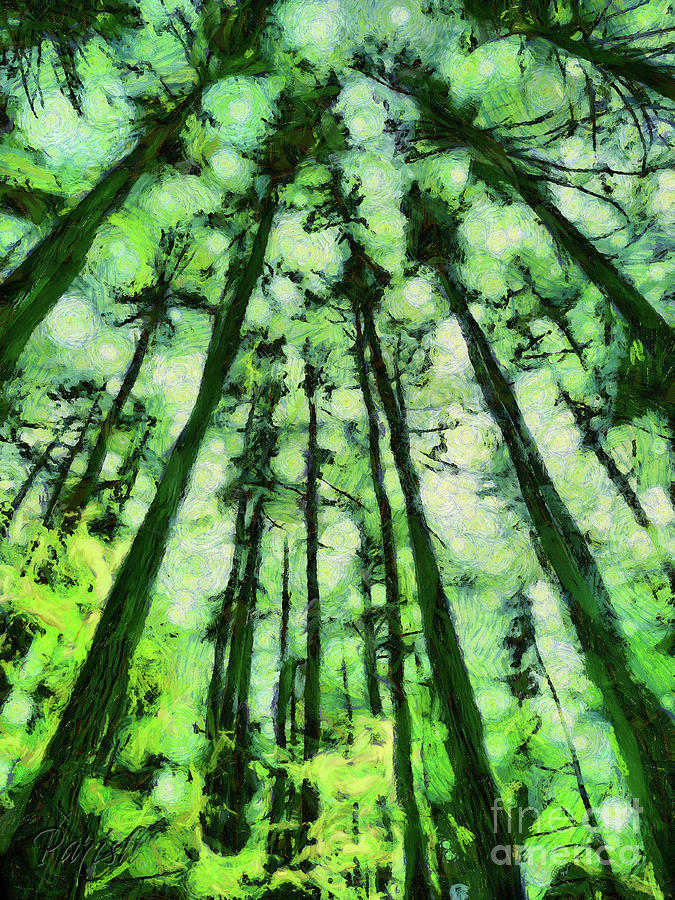 Colorful Forest #7 Digital Art by Susan Parish
