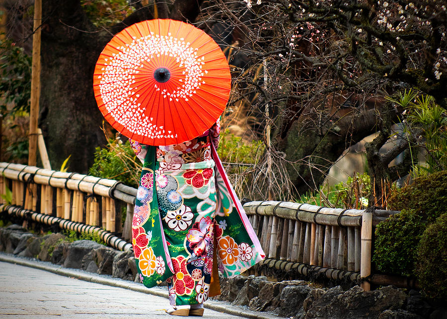 over het algemeen Vaak gesproken mozaïek Colorful Geisha with Parasol Photograph by Lauren King - Pixels
