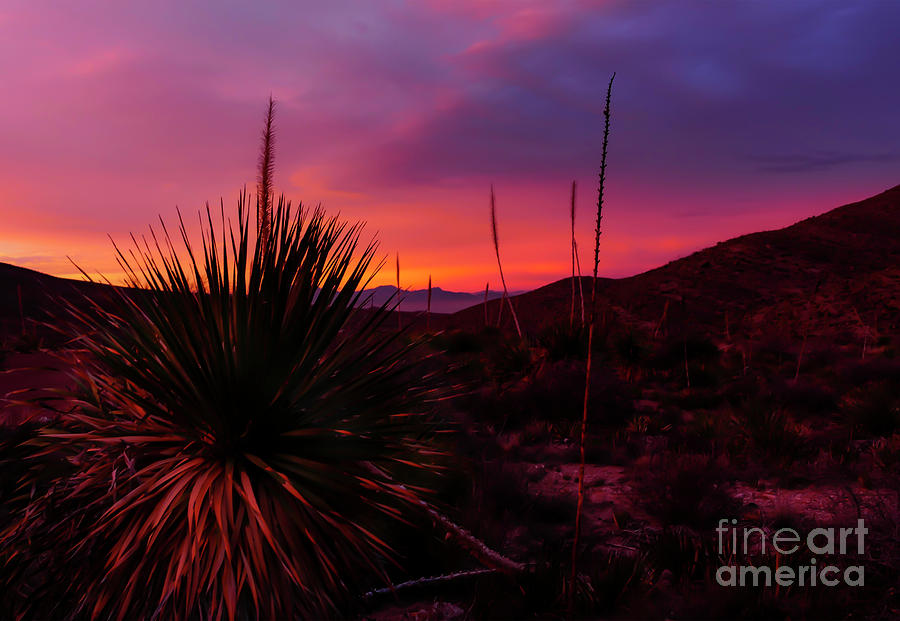 Colorful Glow of a Desert Sunset Photograph by Sandra Js