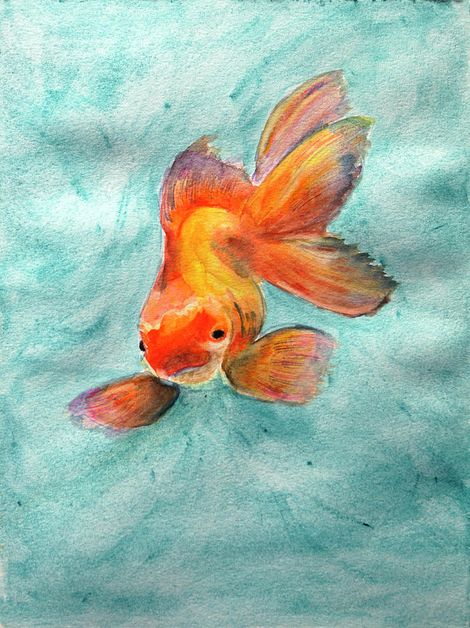 Colorful Goldfish Photograph by Her Arts Desire
