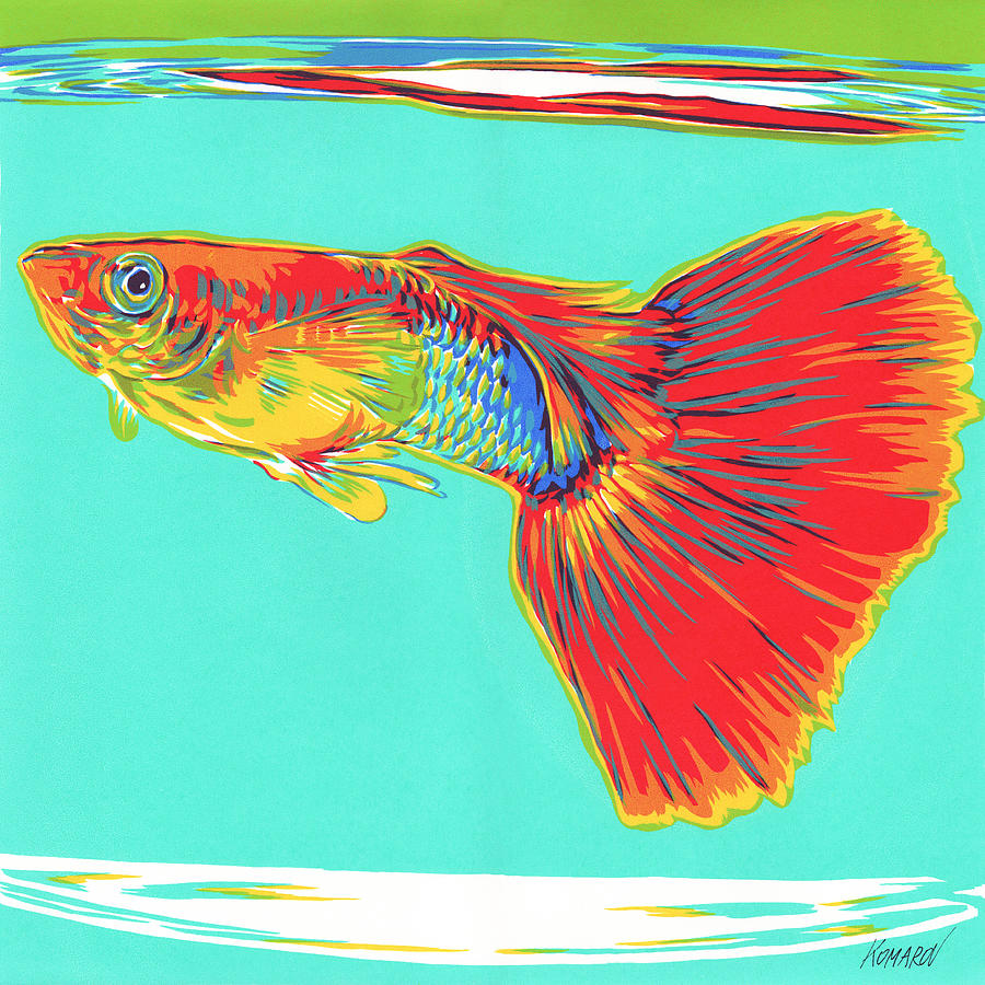 colorful goldfish