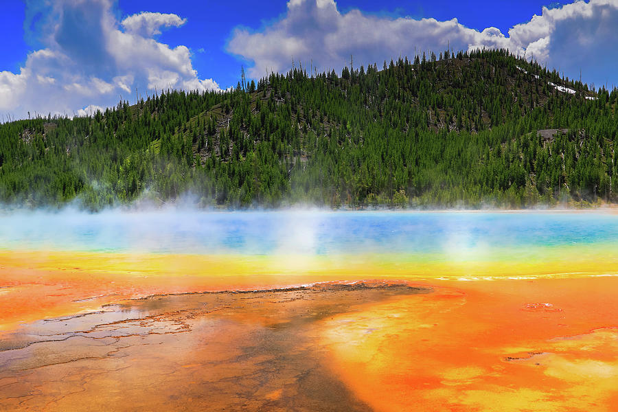 Colorful Grand Prismatic Spring Photograph by Dan Sproul