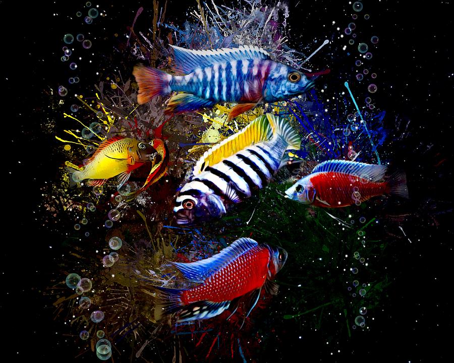 Fish Digital Art - Colorful Group Of African Cichlids by Scott Wallace Digital Designs