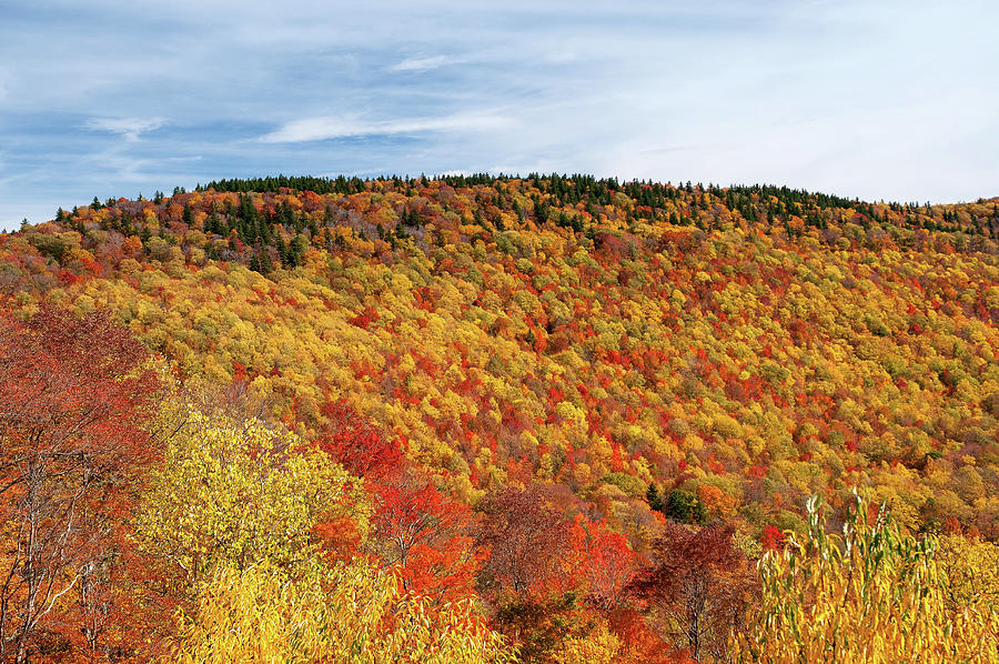 Colorful Hillside Photograph by Steve Stuller