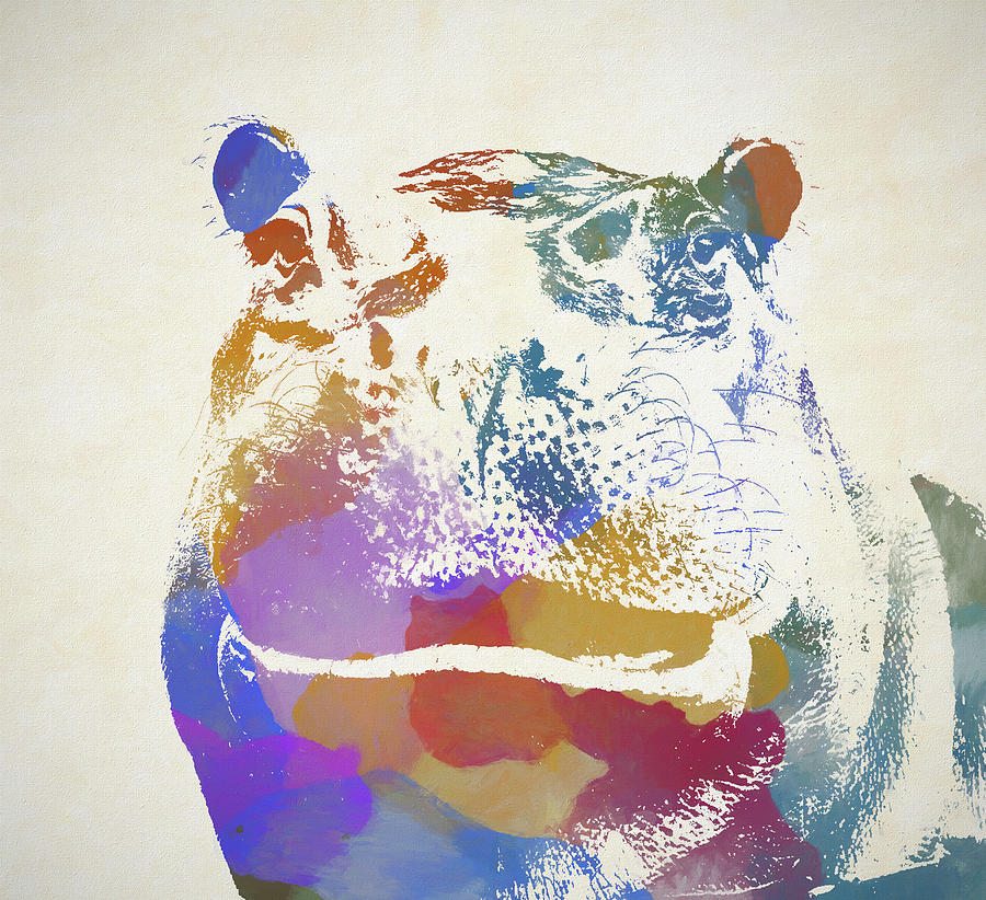 Colorful Hippo Art Painting by Dan Sproul