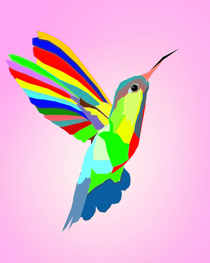 Colorful Hummingbird Design Digital Art by Dan Sproul