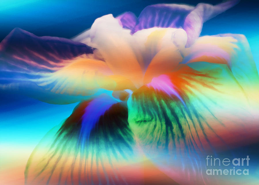 Colorful iris flower Digital Art by Bruce Rolff