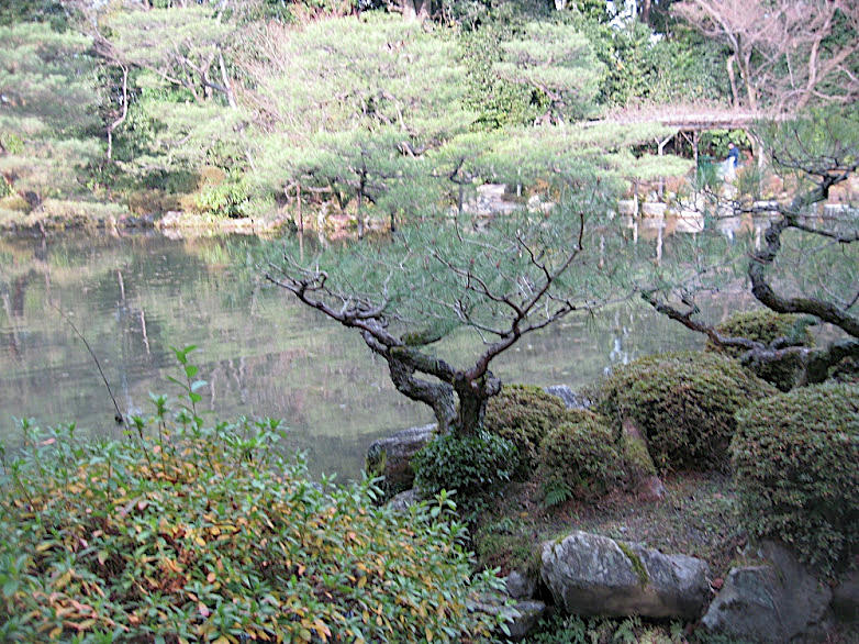 Colorful Japanese Trees overlooking pond Photograph by Susan Grunin