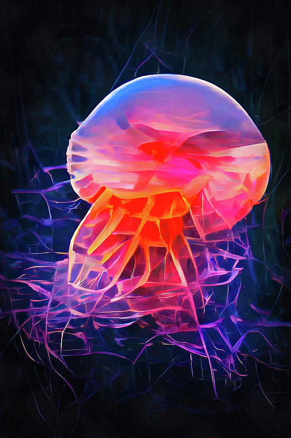 Colorful Jellyfish Art 03 Painting by Matthias Hauser