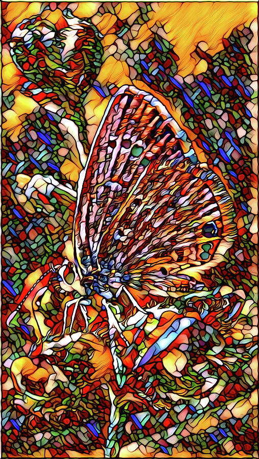 Colorful Jeweled Butterfly Faux Stained Glass Panel  Mixed Media by Shelli Fitzpatrick