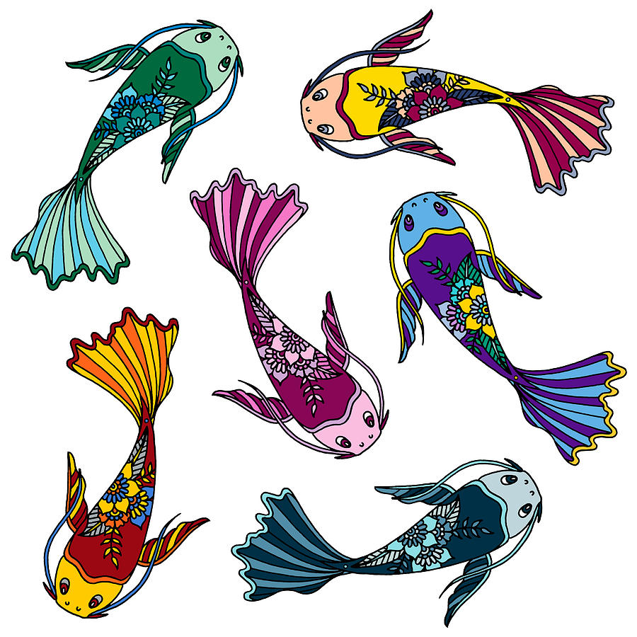 koi fish drawings color