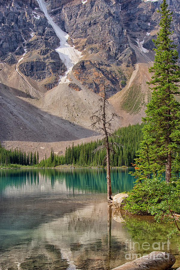 Colorful Lake Moraine  Photograph by Patricia Hofmeester